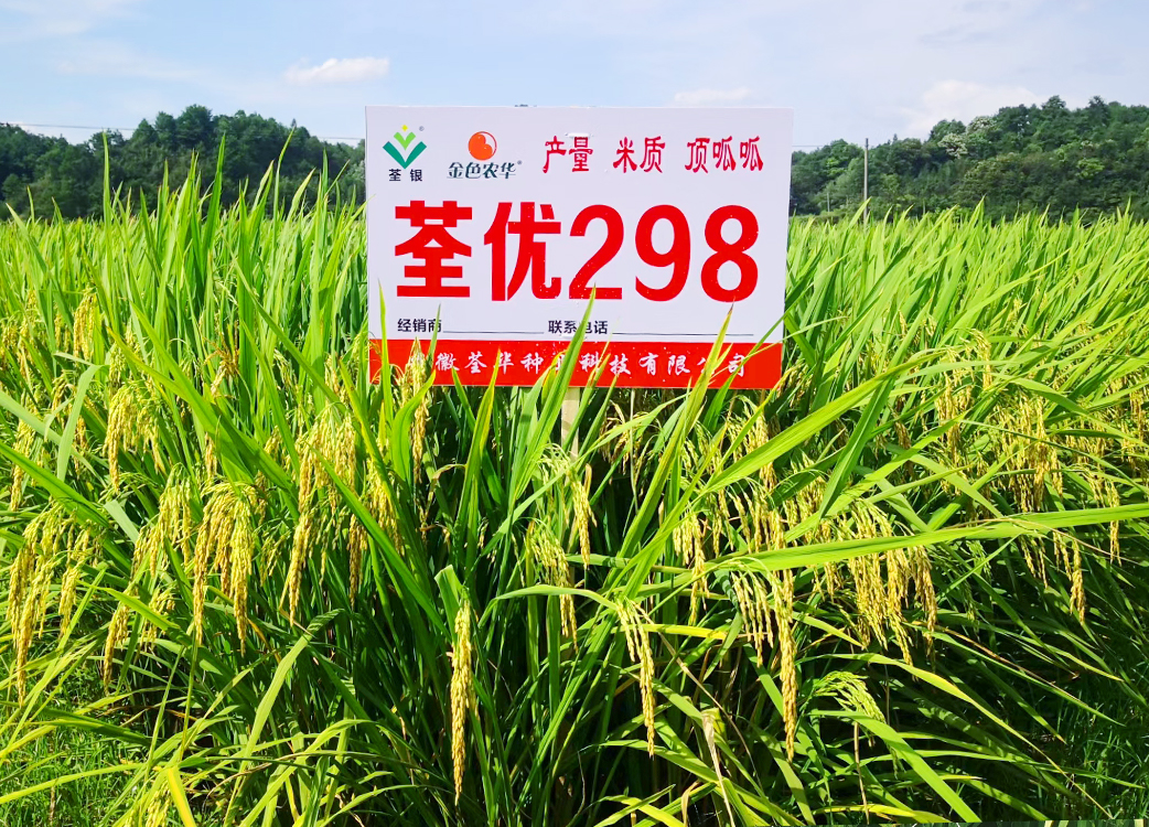 荃優298
